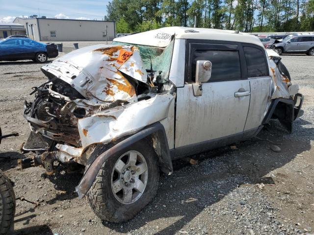 TOYOTA FJ CRUISER 2007 jtebu11f670028333