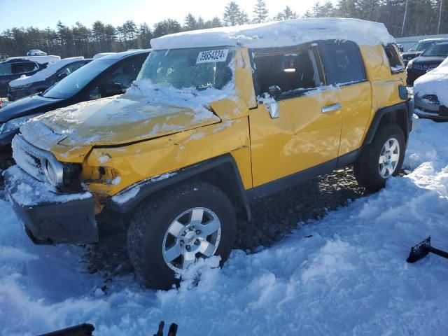 TOYOTA FJ CRUISER 2007 jtebu11f670032155