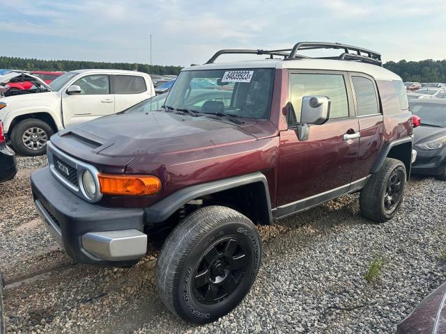 TOYOTA FJ CRUISER 2007 jtebu11f670039719