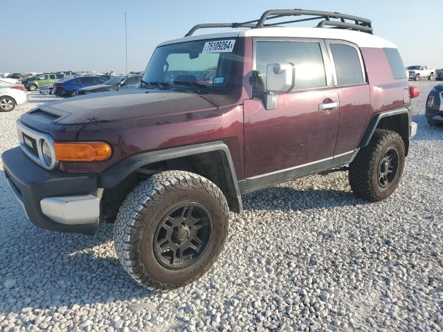 TOYOTA FJ CRUISER 2007 jtebu11f670044967