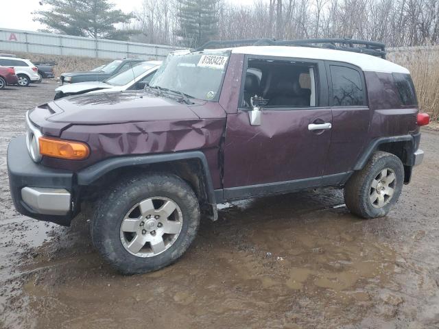 TOYOTA FJ CRUISER 2007 jtebu11f670054141