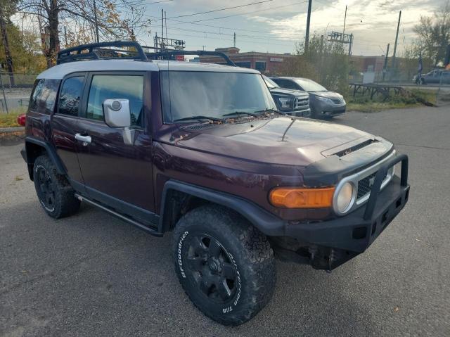 TOYOTA FJ CRUISER 2007 jtebu11f670069867