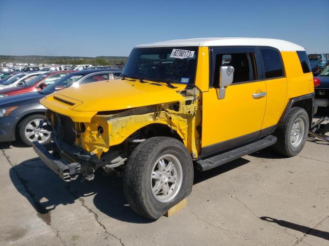 TOYOTA FJ CRUISER 2007 jtebu11f670101183