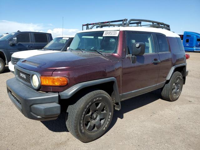 TOYOTA FJ CRUISER 2007 jtebu11f770001562