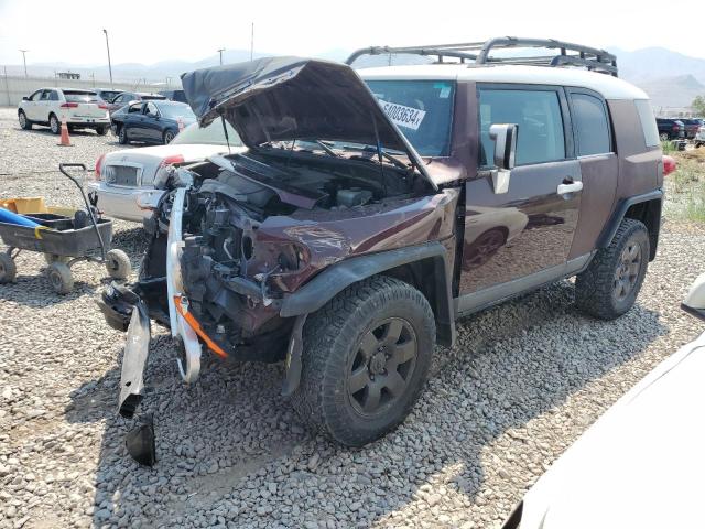 TOYOTA FJ CRUISER 2007 jtebu11f770033962