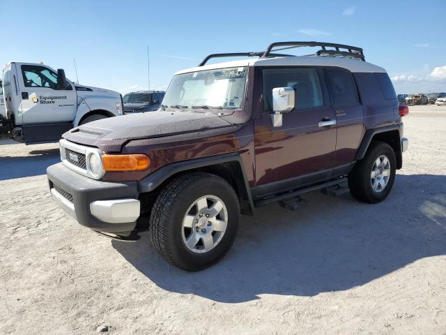 TOYOTA FJ CRUISER 2007 jtebu11f770039907