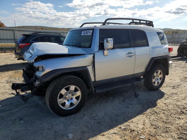 TOYOTA FJ CRUISER 2007 jtebu11f770047862