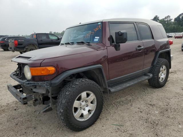 TOYOTA FJ CRUISER 2007 jtebu11f770052933