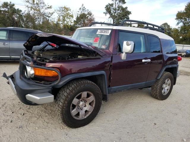 TOYOTA FJ CRUISER 2007 jtebu11f770072406