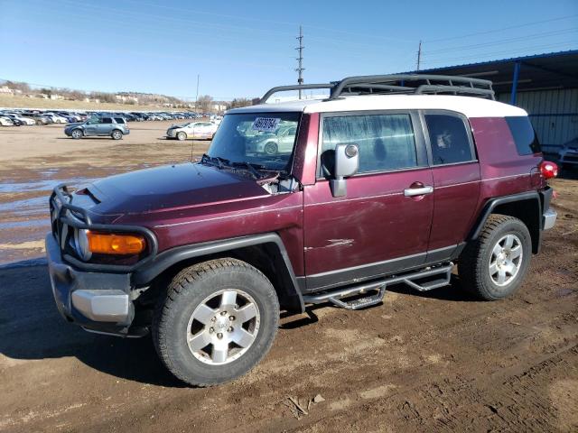 TOYOTA FJ CRUISER 2007 jtebu11f770076813