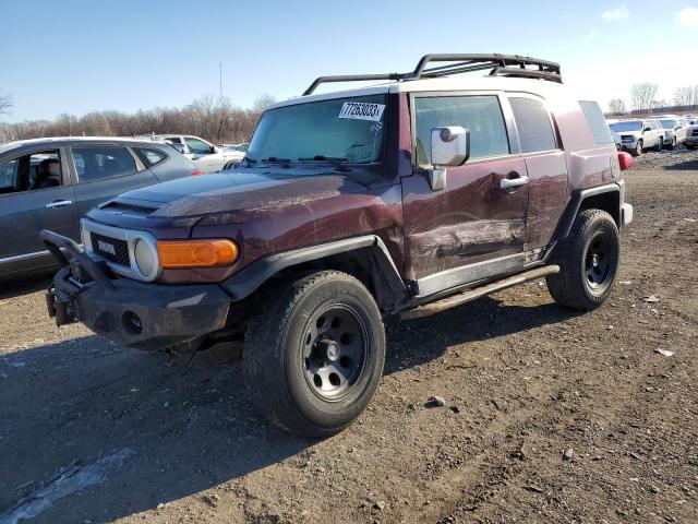 TOYOTA FJ CRUISER 2007 jtebu11f770083017