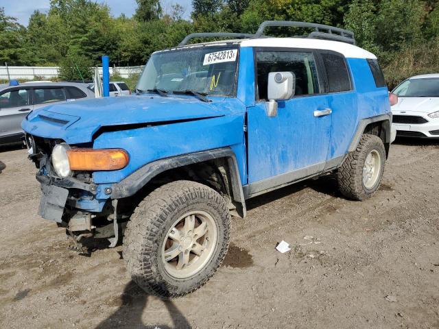 TOYOTA FJ CRUISER 2007 jtebu11f870009363