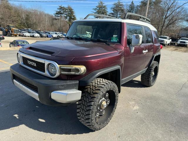 TOYOTA FJ CRUISER 2007 jtebu11f870037020