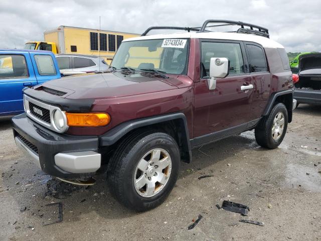 TOYOTA FJ CRUISER 2007 jtebu11f870073645