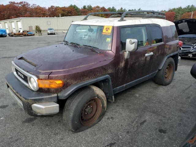 TOYOTA FJ CRUISER 2007 jtebu11f970019836