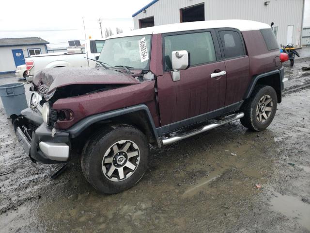 TOYOTA FJ CRUISER 2007 jtebu11f970023319