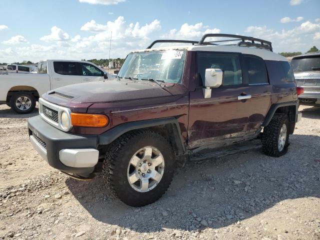 TOYOTA FJ CRUISER 2007 jtebu11f970024177