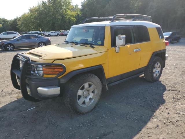 TOYOTA FJ CRUISER 2007 jtebu11f970026575