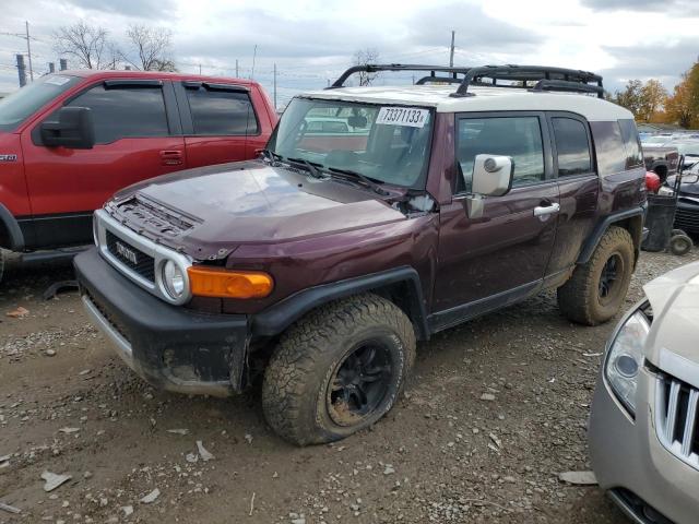 TOYOTA FJ CRUISER 2007 jtebu11f970077509