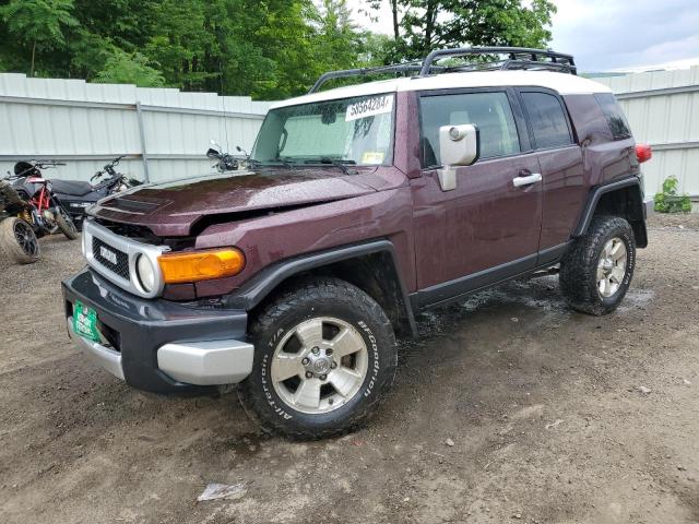 TOYOTA FJ CRUISER 2007 jtebu11f970085075