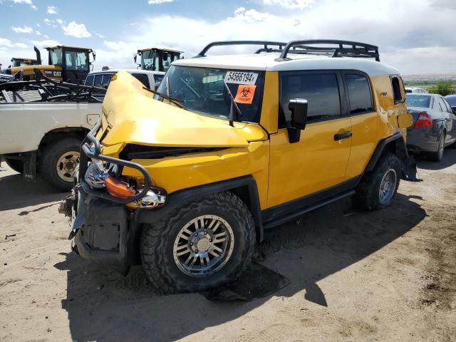 TOYOTA FJ CRUISER 2007 jtebu11f970095086