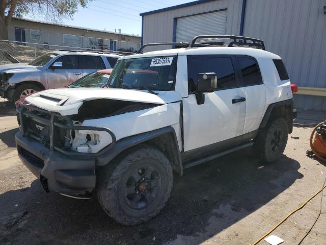 TOYOTA FJ CRUISER 2008 jtebu11f98k026369