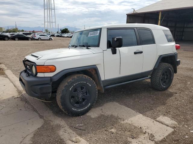 TOYOTA FJ CRUISER 2008 jtebu11f98k031491