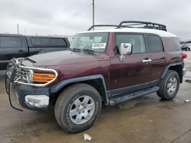 TOYOTA FJ CRUISER 2007 jtebu11fx70021692