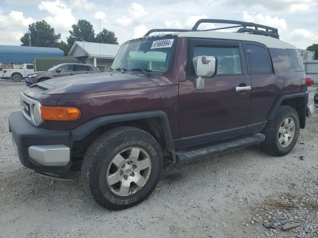 TOYOTA FJ CRUISER 2007 jtebu11fx70034636