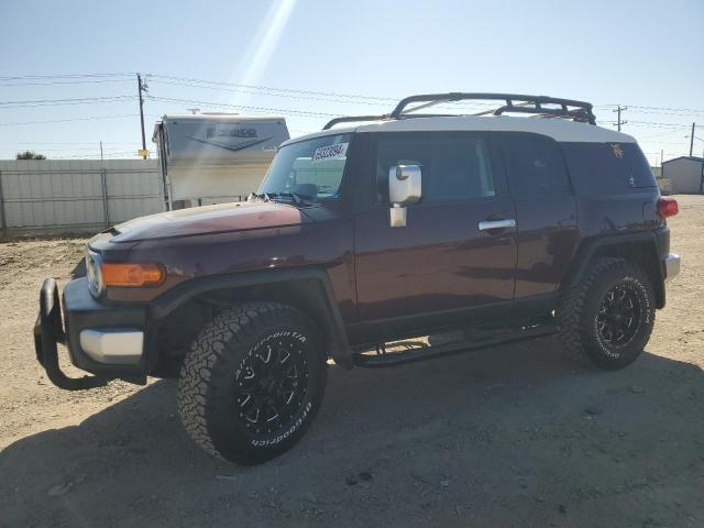 TOYOTA FJ CRUISER 2007 jtebu11fx70059911