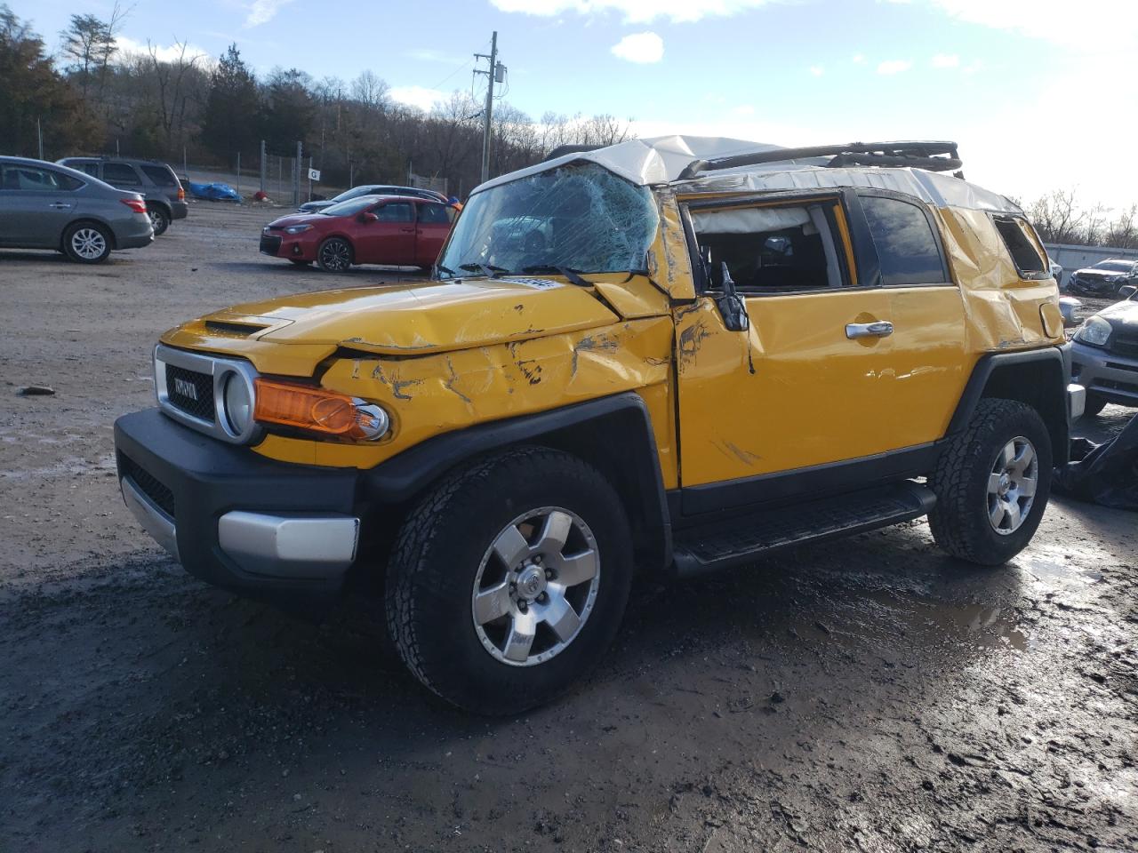 TOYOTA FJ CRUISER 2007 jtebu11fx70061769