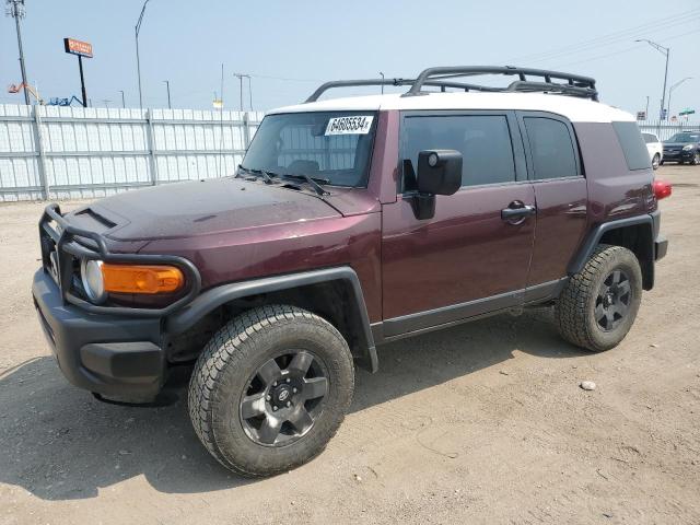 TOYOTA FJ CRUISER 2007 jtebu11fx70070925