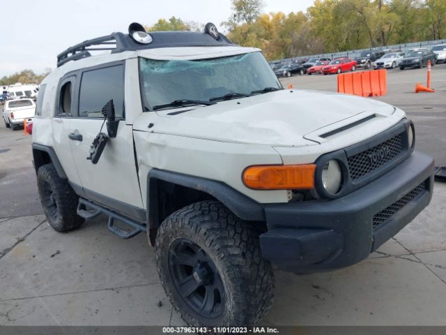 TOYOTA FJ CRUISER 2010 jtebu4bf0ak074588