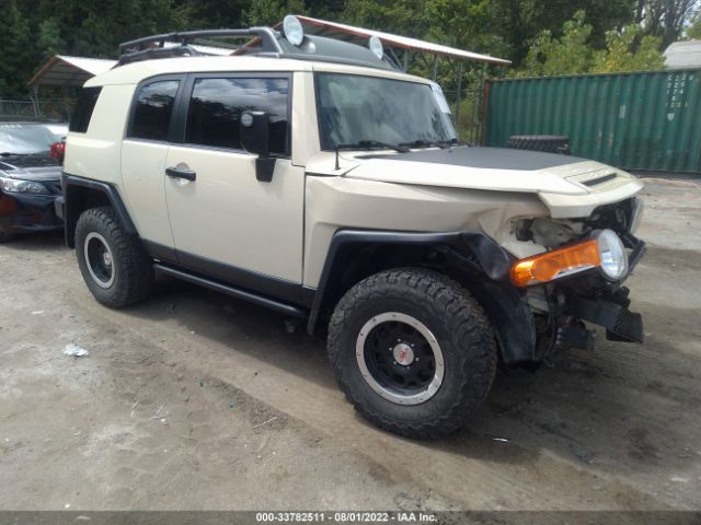 TOYOTA FJ CRUISER 2010 jtebu4bf1ak075510