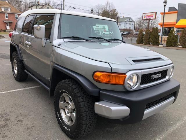 TOYOTA FJ CRUISER 2010 jtebu4bf1ak091402