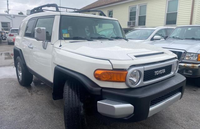 TOYOTA FJ CRUISER 2010 jtebu4bf2ak075306