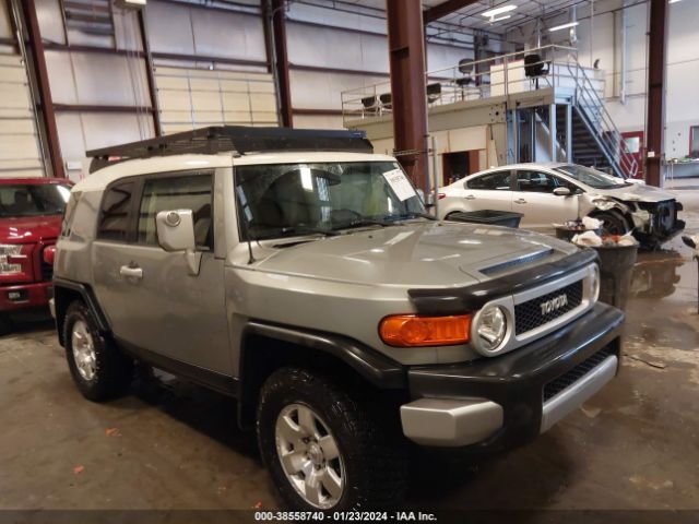 TOYOTA FJ CRUISER 2010 jtebu4bf2ak076438