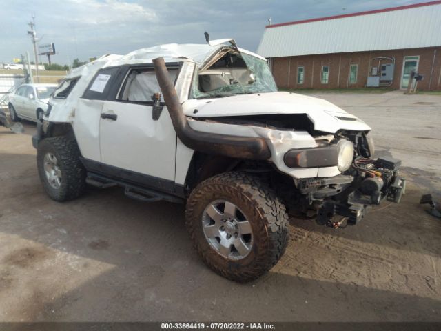 TOYOTA FJ CRUISER 2010 jtebu4bf2ak077850