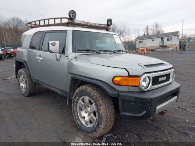 TOYOTA FJ CRUISER 2010 jtebu4bf2ak079372