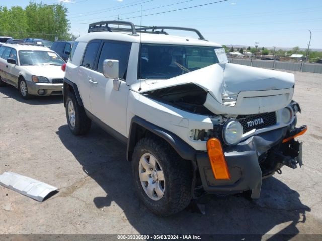 TOYOTA FJ CRUISER 2010 jtebu4bf2ak082627