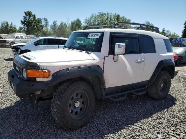 TOYOTA FJ CRUISER 2010 jtebu4bf3ak080420