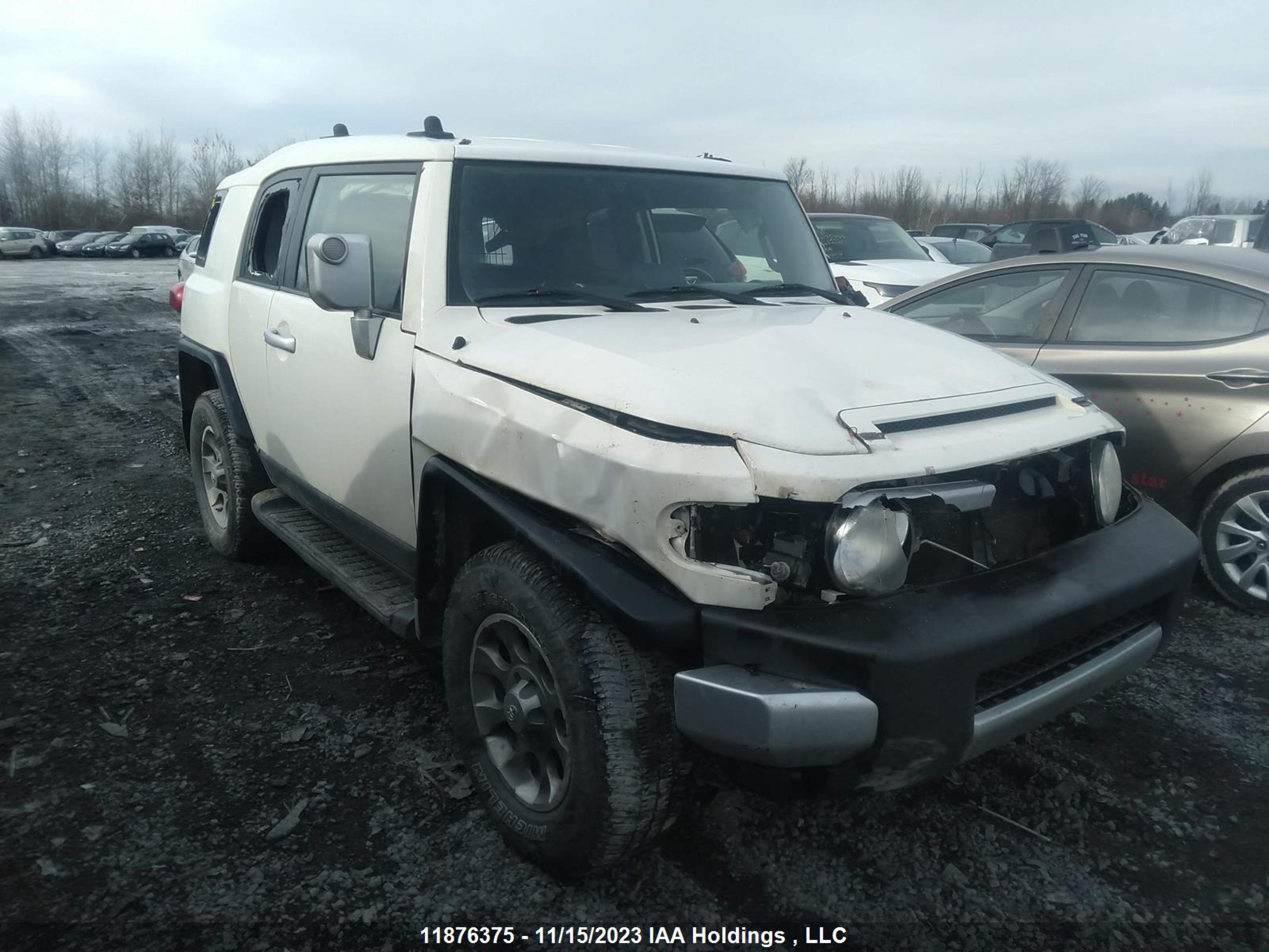 TOYOTA FJ CRUISER 2011 jtebu4bf3bk102403