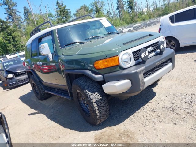 TOYOTA FJ CRUISER 2010 jtebu4bf4ak096979