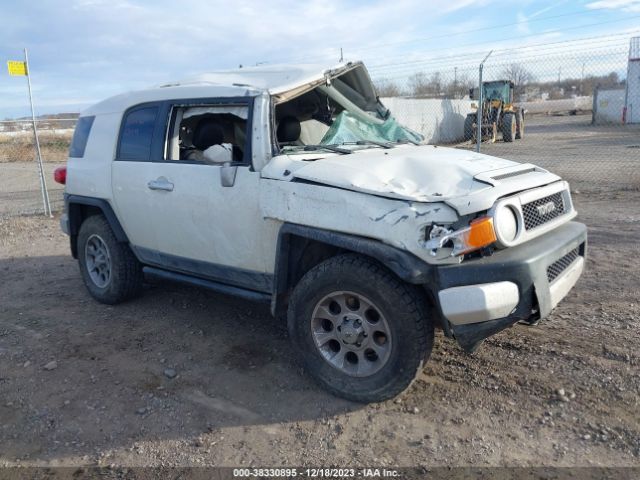 TOYOTA FJ CRUISER 2011 jtebu4bf4bk116276