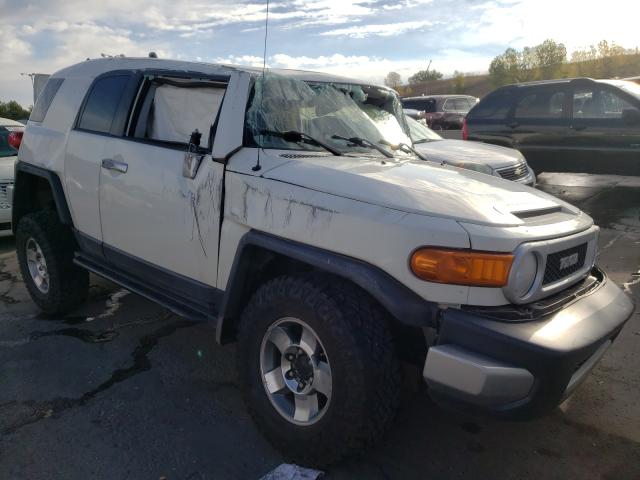 TOYOTA FJ CRUISER 2010 jtebu4bf6ak083425