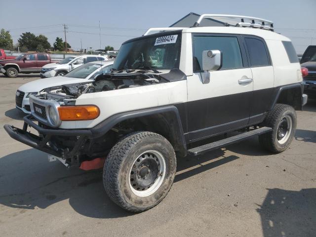 TOYOTA FJ CRUISER 2010 jtebu4bf7ak078024