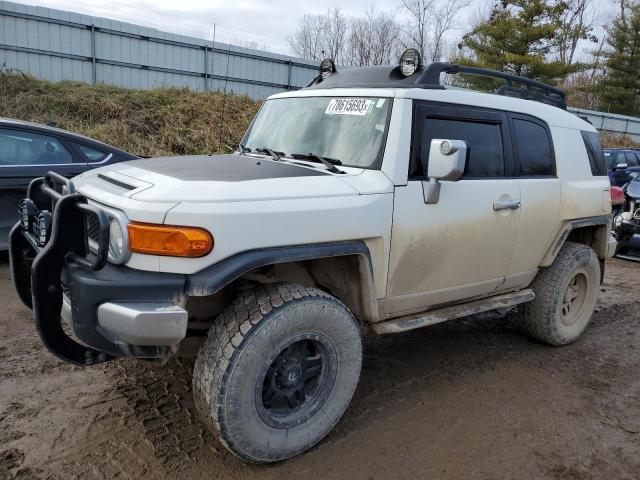 TOYOTA FJ CRUISER 2010 jtebu4bf7ak093462