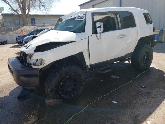 TOYOTA FJ CRUISER 2010 jtebu4bf7ak098080