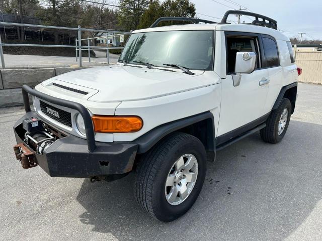 TOYOTA FJ CRUISER 2010 jtebu4bf9ak079109