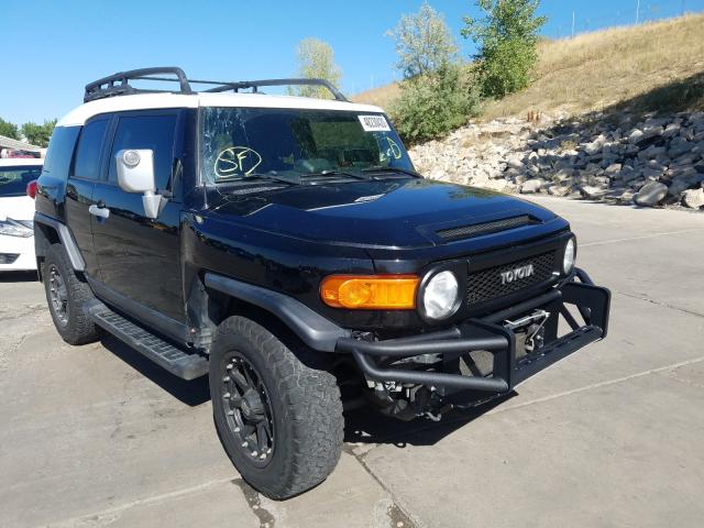 TOYOTA FJ CRUISER 2010 jtebu4bf9ak089395